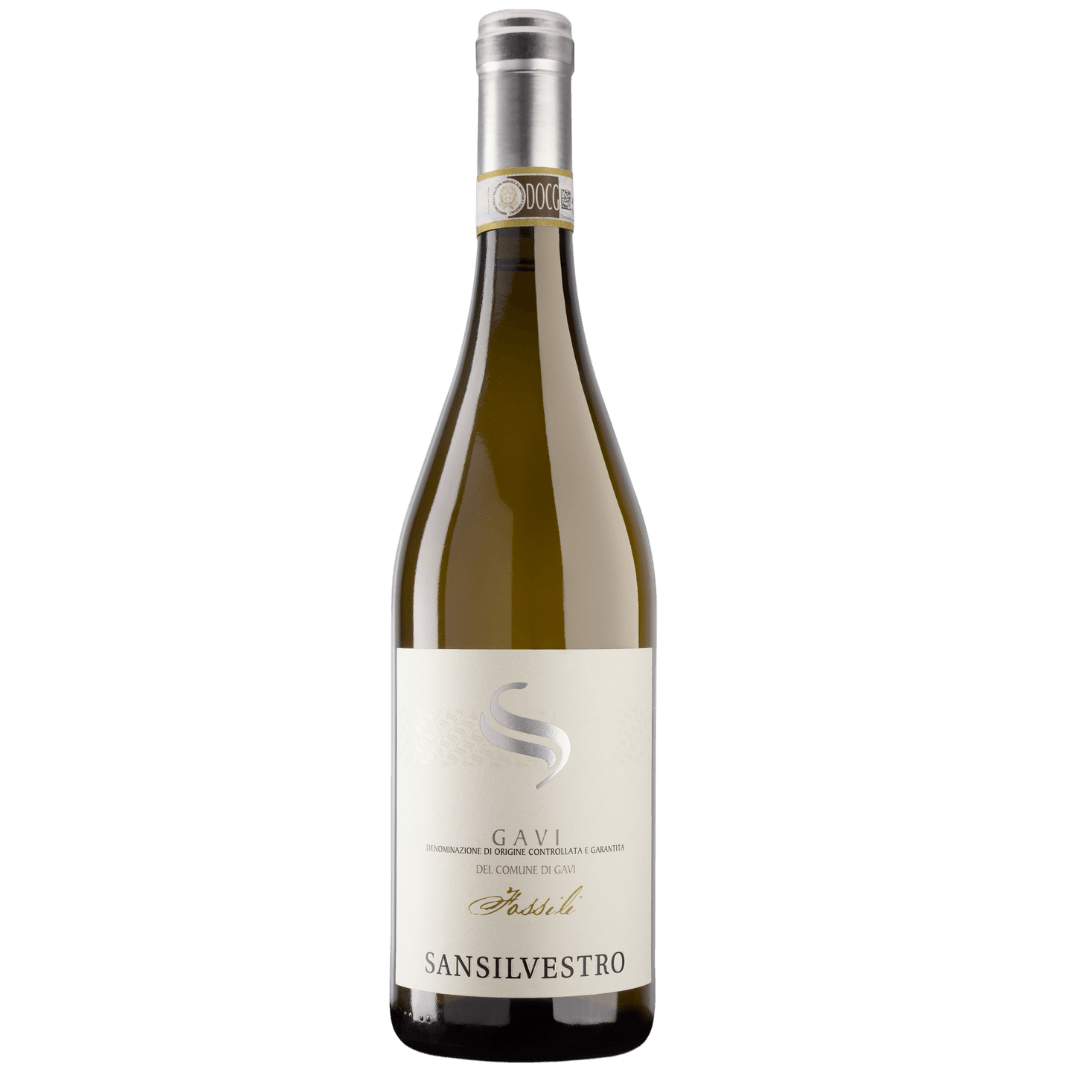 Fossili Gavi del Comune di Gavi
